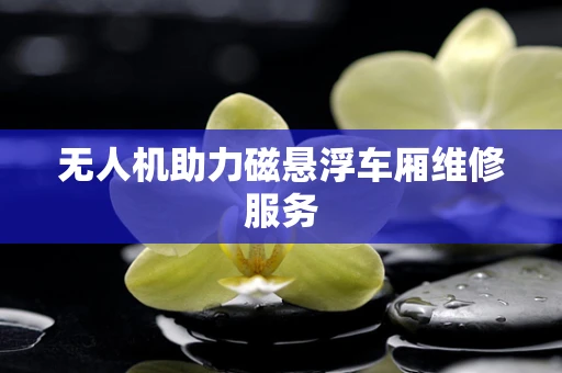无人机助力磁悬浮车厢维修服务
