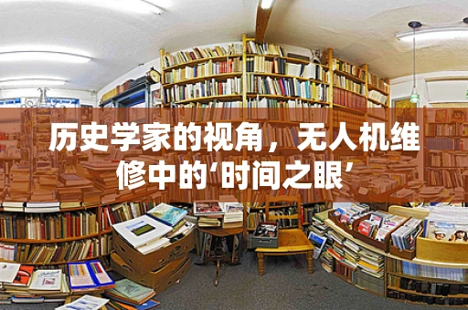 历史学家的视角，无人机维修中的‘时间之眼’