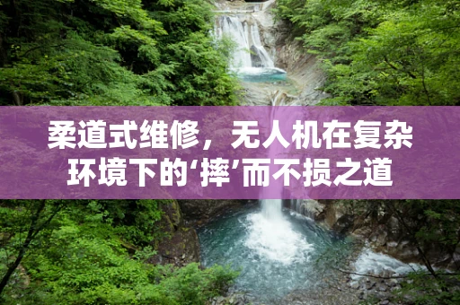柔道式维修，无人机在复杂环境下的‘摔’而不损之道