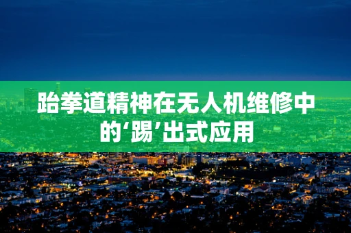 跆拳道精神在无人机维修中的‘踢’出式应用