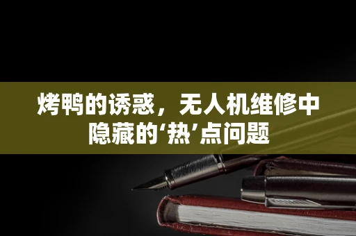 烤鸭的诱惑，无人机维修中隐藏的‘热’点问题