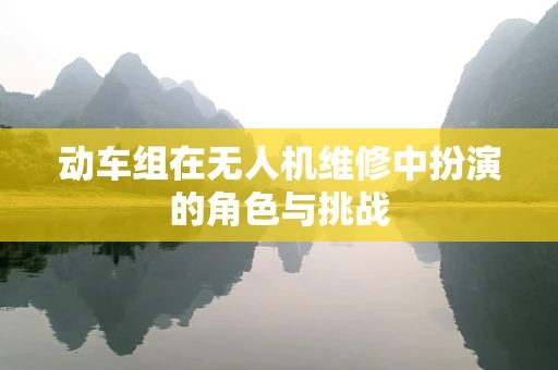 动车组在无人机维修中扮演的角色与挑战