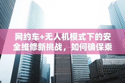 网约车+无人机模式下的安全维修新挑战，如何确保乘客隐私？
