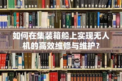 如何在集装箱船上实现无人机的高效维修与维护？