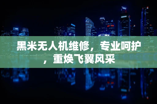 黑米无人机维修，专业呵护，重焕飞翼风采