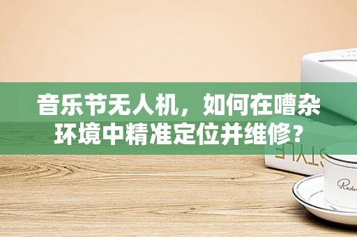 音乐节无人机，如何在嘈杂环境中精准定位并维修？