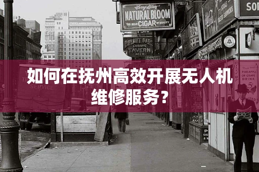 如何在抚州高效开展无人机维修服务？
