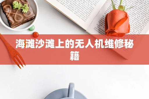 海滩沙滩上的无人机维修秘籍
