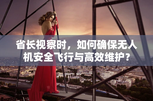 省长视察时，如何确保无人机安全飞行与高效维护？