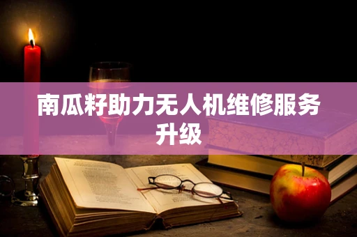 南瓜籽助力无人机维修服务升级