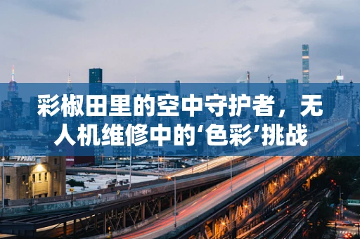 彩椒田里的空中守护者，无人机维修中的‘色彩’挑战