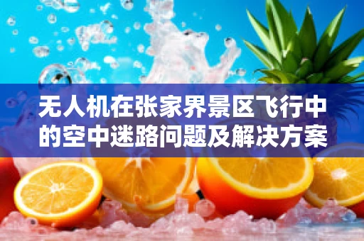 无人机在张家界景区飞行中的空中迷路问题及解决方案