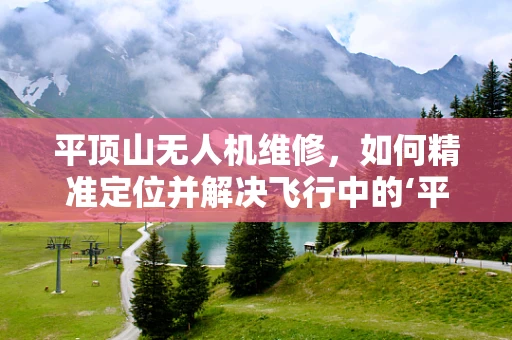 平顶山无人机维修，如何精准定位并解决飞行中的‘平飞不稳’问题？