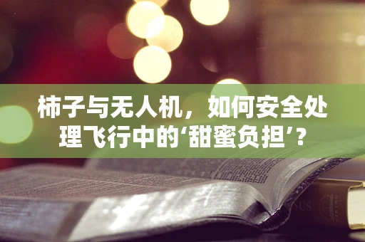 柿子与无人机，如何安全处理飞行中的‘甜蜜负担’？