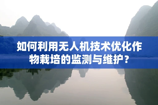 如何利用无人机技术优化作物栽培的监测与维护？