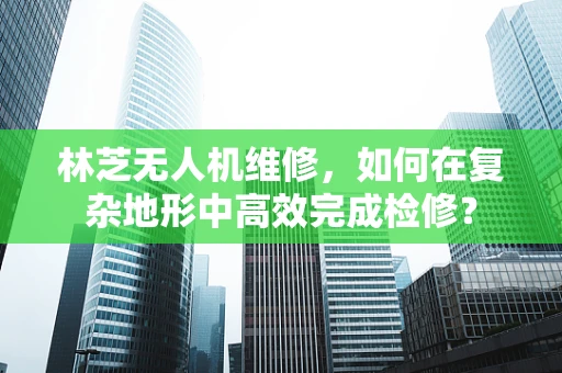 林芝无人机维修，如何在复杂地形中高效完成检修？