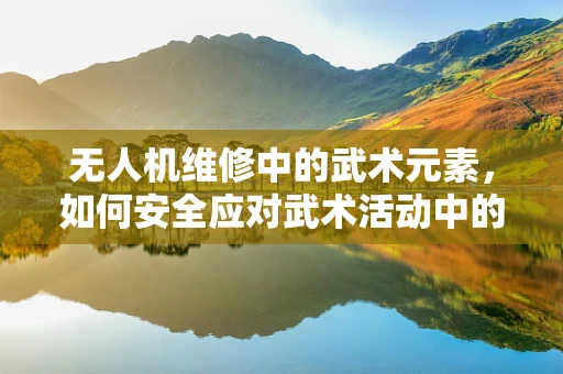 无人机维修中的武术元素，如何安全应对武术活动中的无人机干扰？
