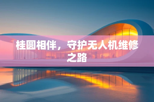 桂圆相伴，守护无人机维修之路