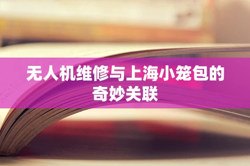 无人机维修与上海小笼包的奇妙关联