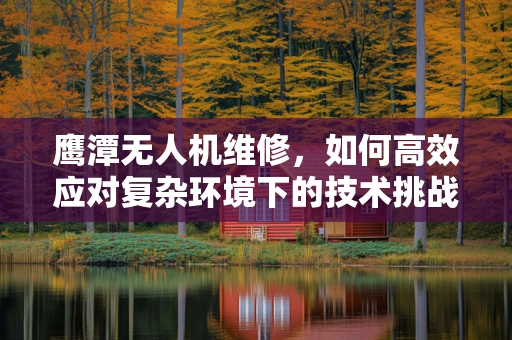 鹰潭无人机维修，如何高效应对复杂环境下的技术挑战？