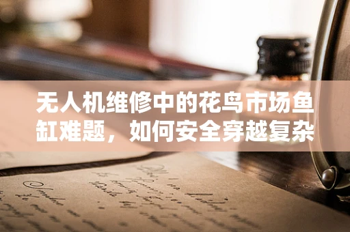 无人机维修中的花鸟市场鱼缸难题，如何安全穿越复杂环境？