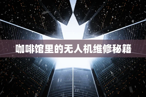 咖啡馆里的无人机维修秘籍