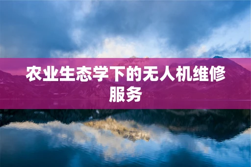 农业生态学下的无人机维修服务