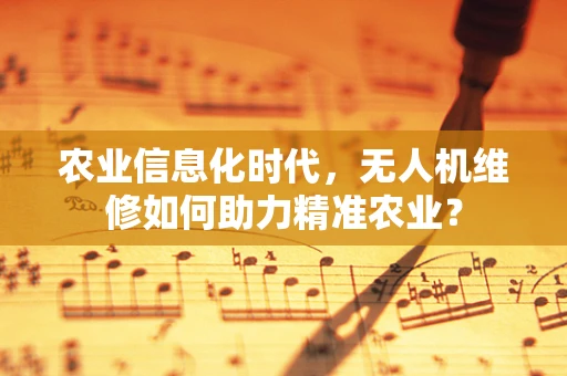 农业信息化时代，无人机维修如何助力精准农业？