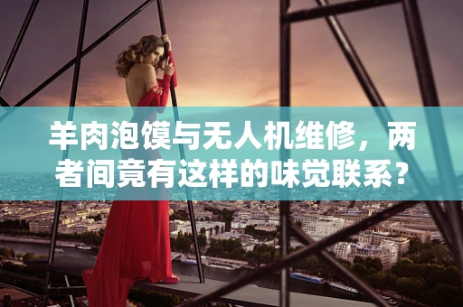 羊肉泡馍与无人机维修，两者间竟有这样的味觉联系？