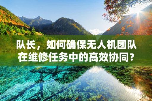 队长，如何确保无人机团队在维修任务中的高效协同？
