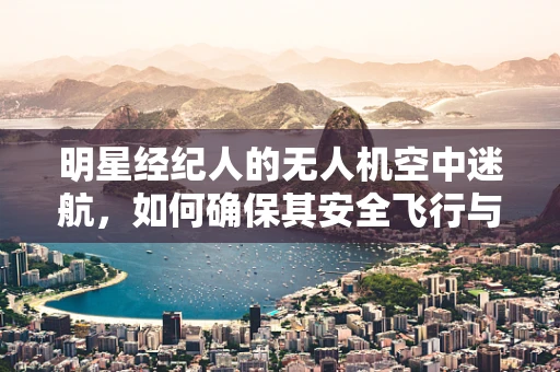 明星经纪人的无人机空中迷航，如何确保其安全飞行与维护？