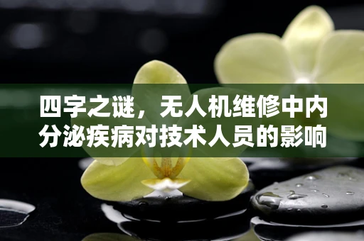 四字之谜，无人机维修中内分泌疾病对技术人员的影响