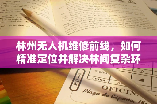 林州无人机维修前线，如何精准定位并解决林间复杂环境下的飞行故障？