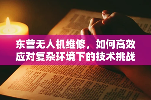 东营无人机维修，如何高效应对复杂环境下的技术挑战？