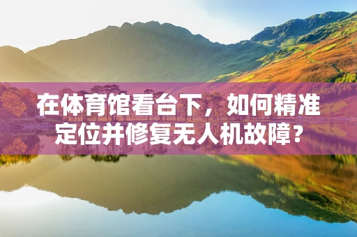 在体育馆看台下，如何精准定位并修复无人机故障？