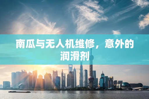 南瓜与无人机维修，意外的润滑剂
