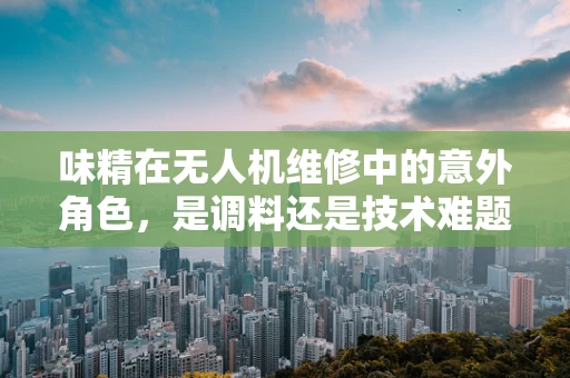 味精在无人机维修中的意外角色，是调料还是技术难题的解药？