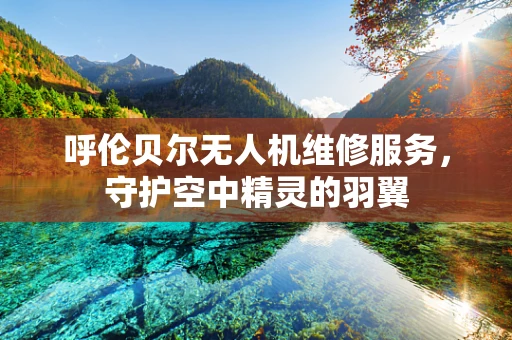 呼伦贝尔无人机维修服务，守护空中精灵的羽翼