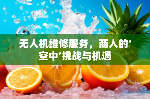 无人机维修服务，商人的‘空中’挑战与机遇