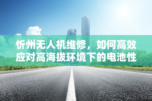 忻州无人机维修，如何高效应对高海拔环境下的电池性能挑战？