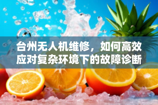 台州无人机维修，如何高效应对复杂环境下的故障诊断？