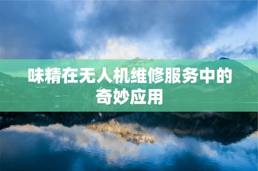 味精在无人机维修服务中的奇妙应用