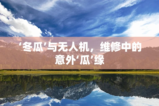 ‘冬瓜’与无人机，维修中的意外‘瓜’缘
