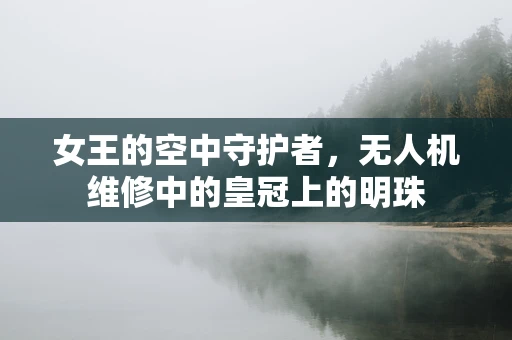 女王的空中守护者，无人机维修中的皇冠上的明珠