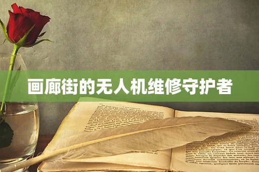 画廊街的无人机维修守护者