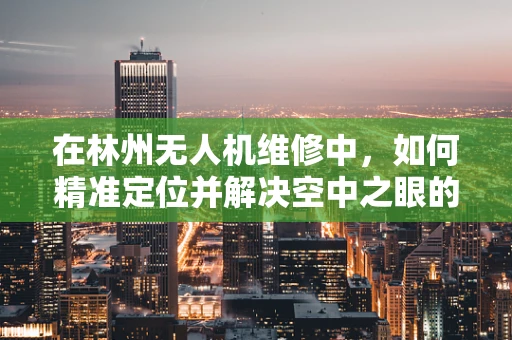 在林州无人机维修中，如何精准定位并解决空中之眼的飞行障碍？