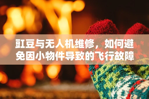 豇豆与无人机维修，如何避免因小物件导致的飞行故障？