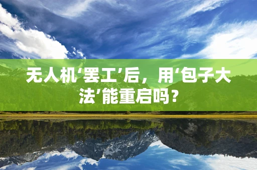 无人机‘罢工’后，用‘包子大法’能重启吗？