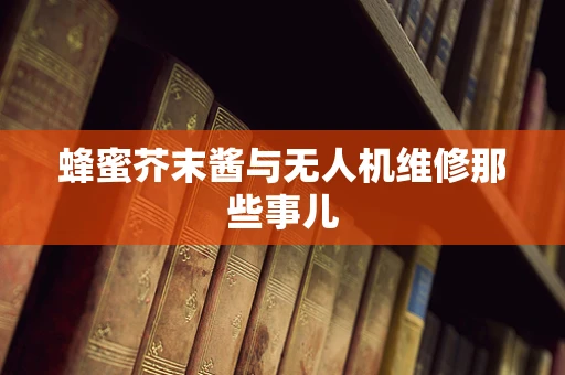 蜂蜜芥末酱与无人机维修那些事儿
