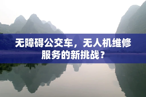 无障碍公交车，无人机维修服务的新挑战？